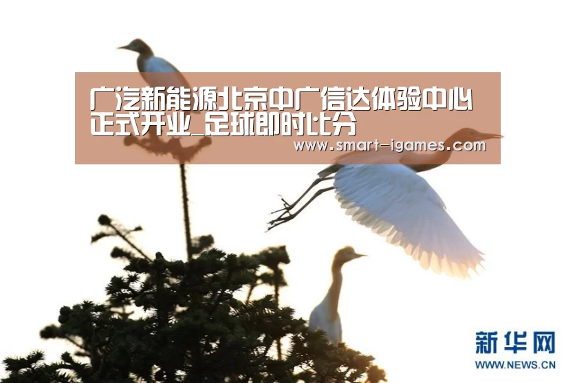 爱游戏体育